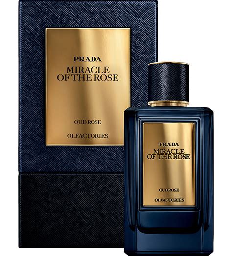 prada rose oud|Prada mirages perfume.